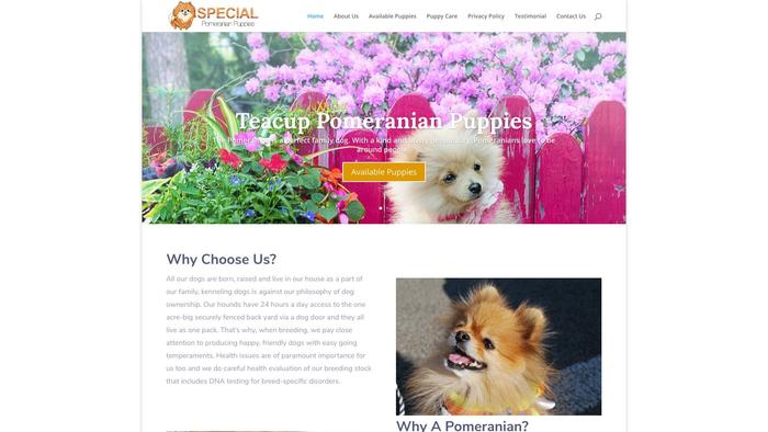 Specialpomeranianpuppies.com - Pomeranian Puppy Scam Review