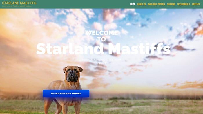 Starlandmastiff.com - Tibetan Mastiff Puppy Scam Review