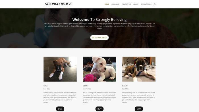 Stronglybelieving.com - Boxer Puppy Scam Review