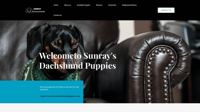 Sunraysdachshundpuppies.com - Dachshund Puppy Scam Review