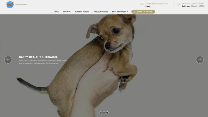 Superbchihuahua.com - Chihuahua Puppy Scam Review