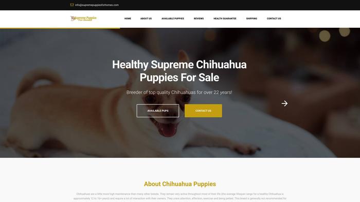 Supremepuppiesforhomes.com - Chihuahua Puppy Scam Review