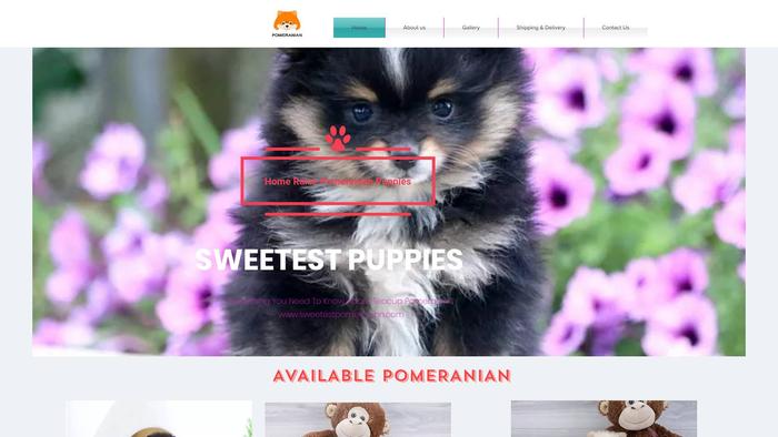 Sweetestpomeranian.com - Pomeranian Puppy Scam Review