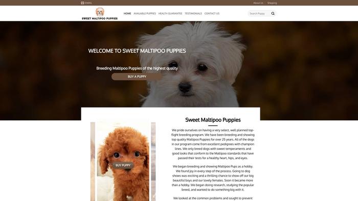 Sweetmaltipoopuppies.com - Maltipoo Puppy Scam Review