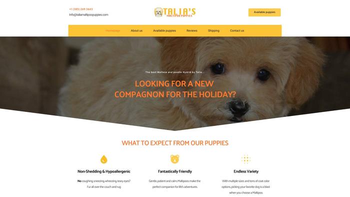 Taliamaltipoopuppies.com - Maltipoo Puppy Scam Review