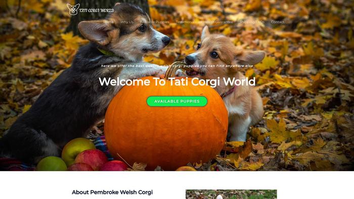 Taticorgiworld.com - Corgi Puppy Scam Review