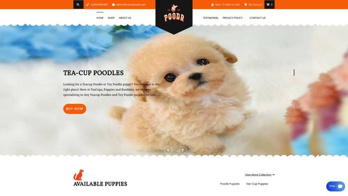 Teacupbreedr.com - Yorkshire Terrier Puppy Scam Review