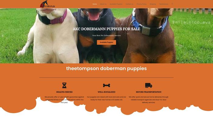 Theetompsondobermanpuppies.store - Doberman Pinscher Puppy Scam Review