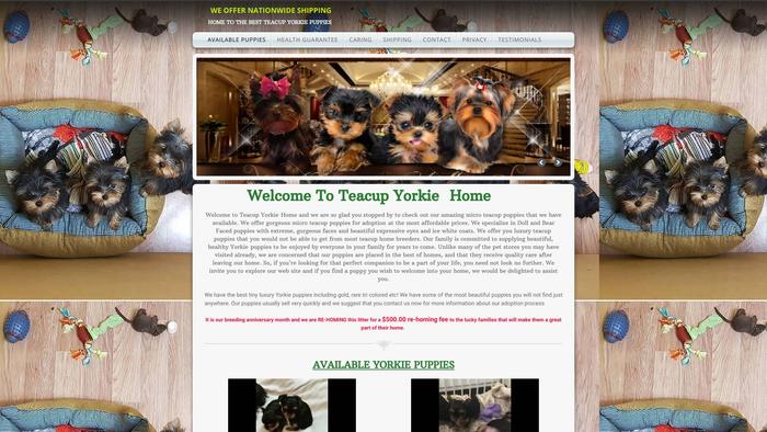 Tinyfunpups.site - French Bulldog Puppy Scam Review