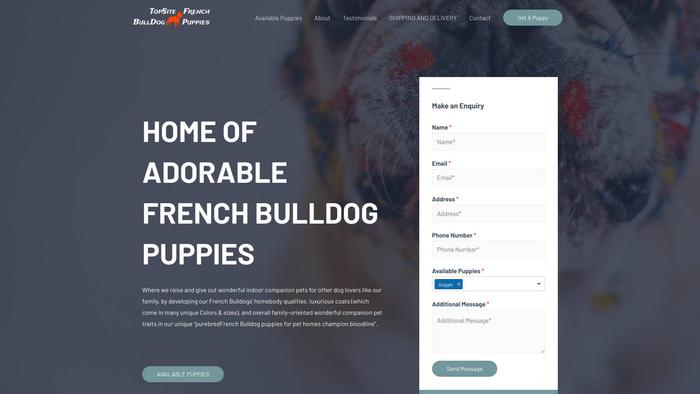 Topsitefrenchbulldogpuppies.com - French Bulldog Puppy Scam Review