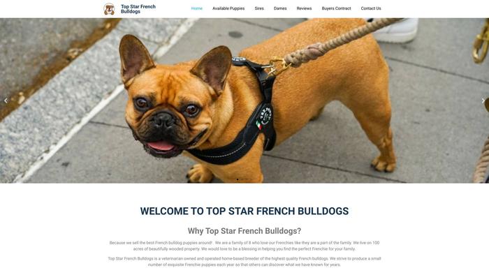 Topstarfrenchbulldogs.com - French Bulldog Puppy Scam Review