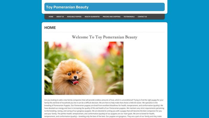 Toybeautypoms.us - Pomeranian Puppy Scam Review