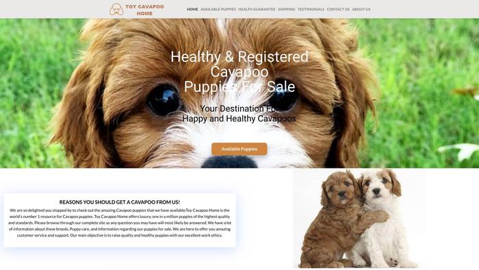 Toycavapooshome.com - Cavapoo Puppy Scam Review