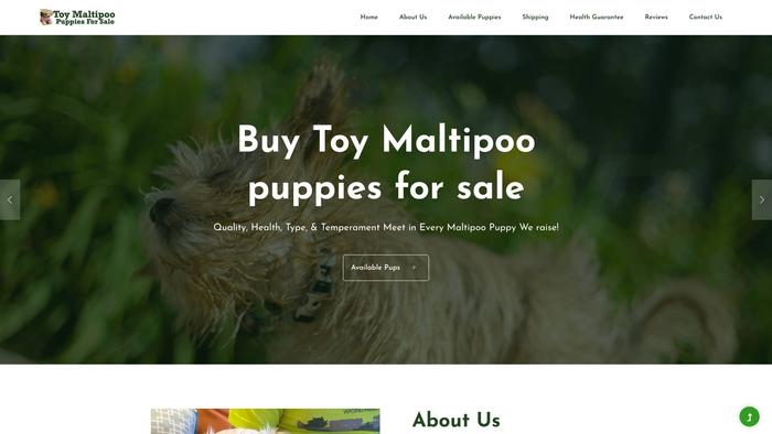 Toymaltipoopupsforsale.com - Maltipoo Puppy Scam Review