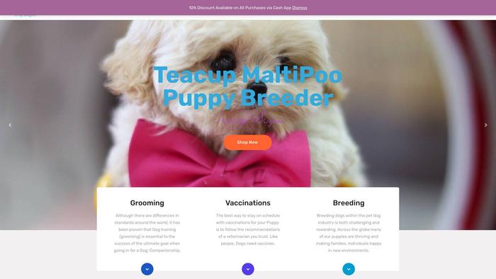 Toyteacupmaltipoopuppies.com - Maltipoo Puppy Scam Review