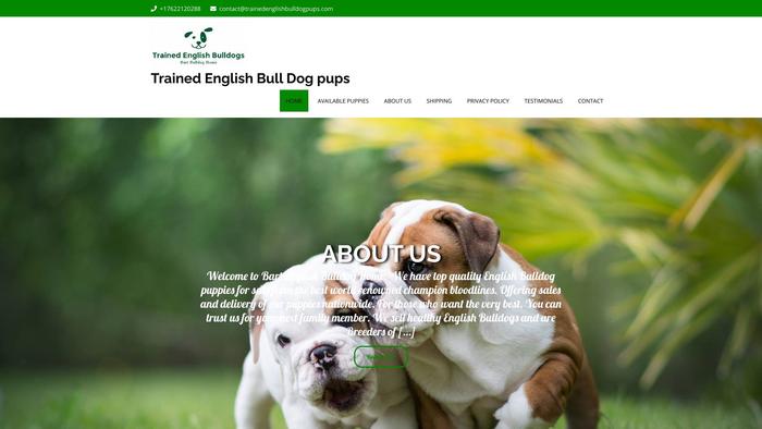 Trainedenglishbulldogpups.com - English Bulldog Puppy Scam Review