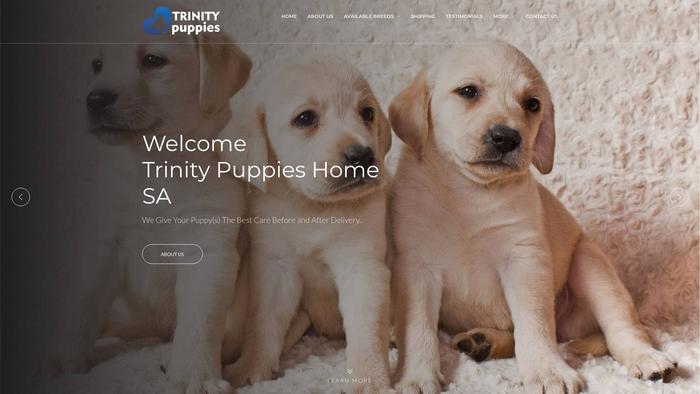 Trinitypuppiessa.com - English Bulldog Puppy Scam Review