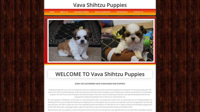 Vavashihtzupuppies.com - Shihtzu Puppy Scam Review