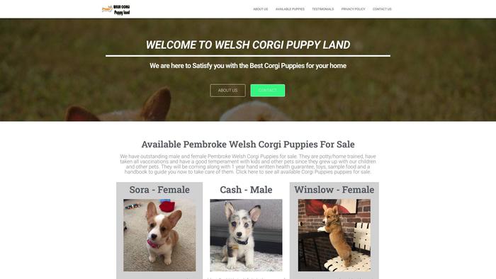 Welshcorgipuppyland.com - Corgi Puppy Scam Review