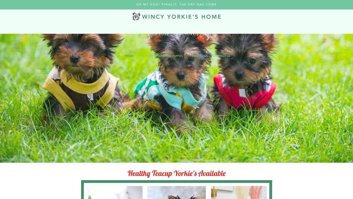 Wincyyorkieshome.com - Yorkshire Terrier Puppy Scam Review