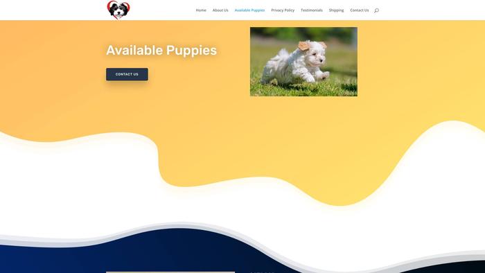 Wittyhavanesehome.com - Havanese Puppy Scam Review