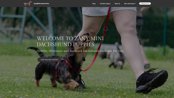 Zanyminidachshundpups.com - Dachshund Puppy Scam Review