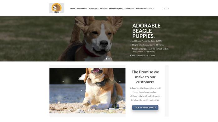 Adorablebeaglepups.com - Beagle Puppy Scam Review