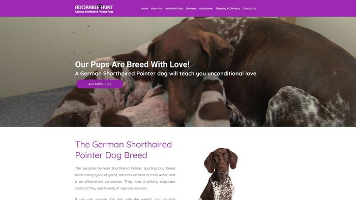 Adorablehuntgermanshorthairpointerpups.com - British Shorthair Puppy Scam Review