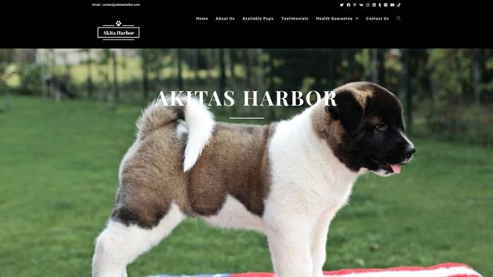 Akitasharbor.com - Akita Puppy Scam Review