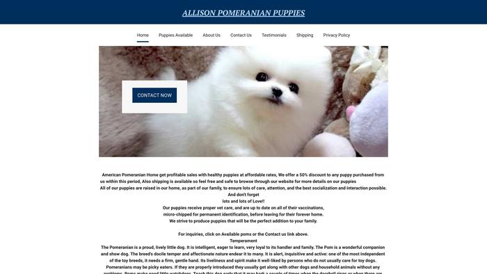 Allisonpomeranianpuppies.com - Pomeranian Puppy Scam Review