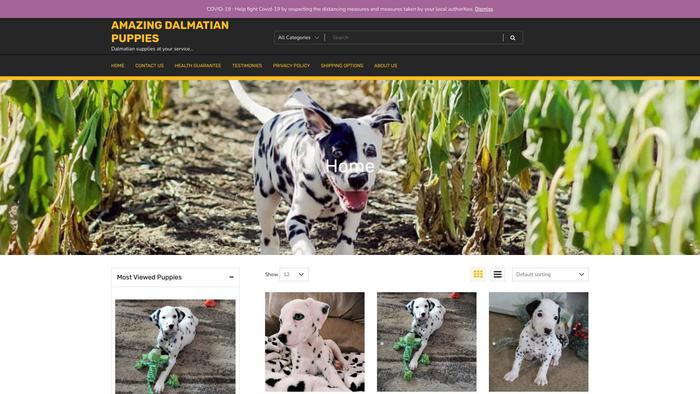 Amazingdalmatianpuppies.com - Labrador Puppy Scam Review