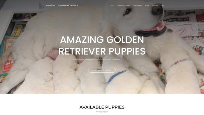 Amazinggoldenretriever.com - Golden Retriever Puppy Scam Review