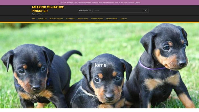 Amazingminiaturepinscherpuppies.com - Doberman Pinscher Puppy Scam Review