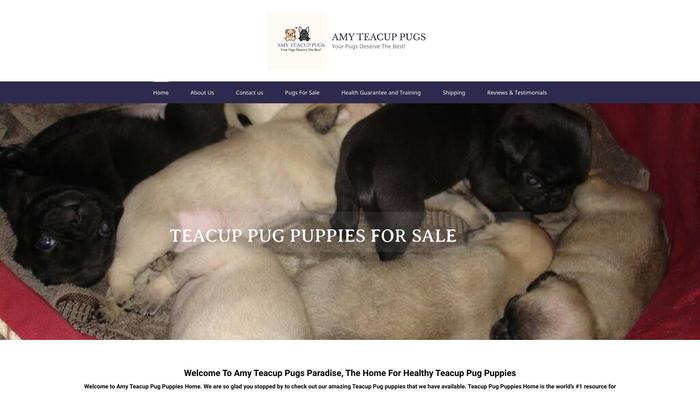 Amyteacups.com - Pug Puppy Scam Review