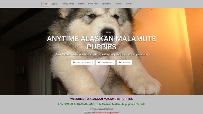 Anytimealaskanmalamute.com - Malamute Puppy Scam Review