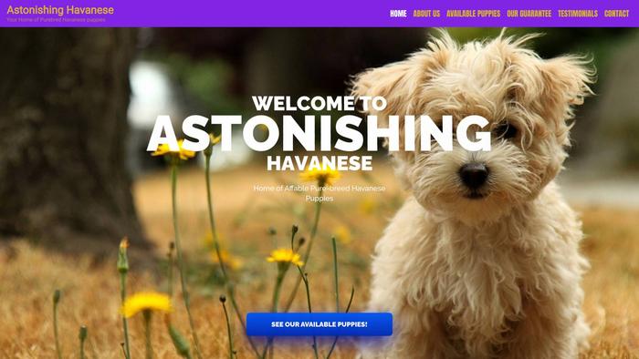 Astonishinghavanese.com - Havanese Puppy Scam Review