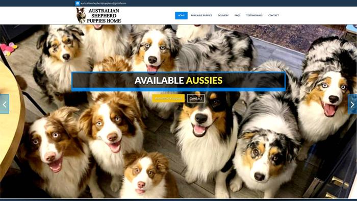 Australianshepherdpuppieshome.com - Germanshepherd Puppy Scam Review