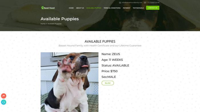 Bassethoundfamily.com - Bassethound Puppy Scam Review