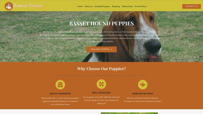 Bassethoundpups4homes.com - Bassethound Puppy Scam Review