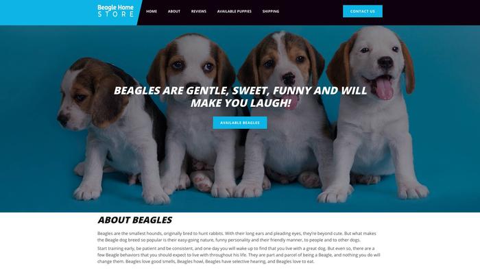 Beaglehome.store - Beagle Puppy Scam Review