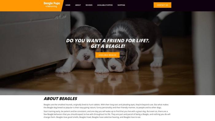 Beaglepups4rehoming.com - Beagle Puppy Scam Review