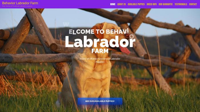 Behaviourlabradorfarm.com - Labrador Puppy Scam Review