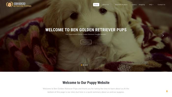 Bengoldenretrieverpups.com - Golden Retriever Puppy Scam Review