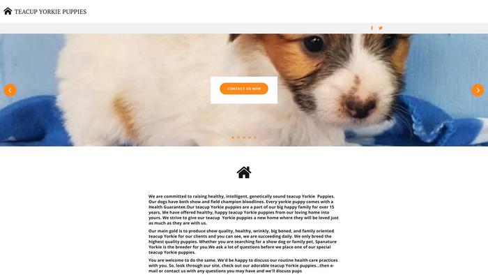 Benjaminyorkiehome.com - Yorkshire Terrier Puppy Scam Review