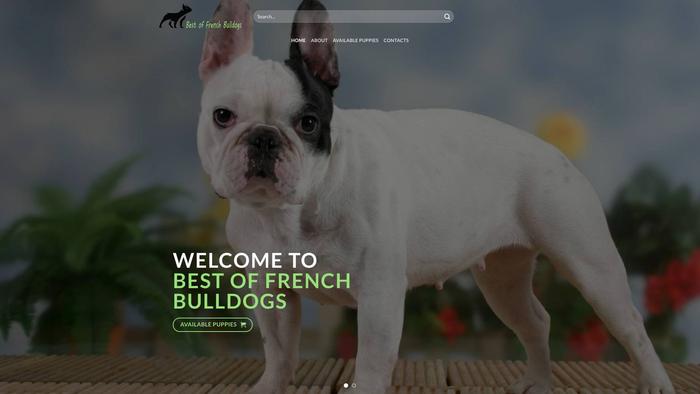 Bestoffrenchbulldogs.com - French Bulldog Puppy Scam Review