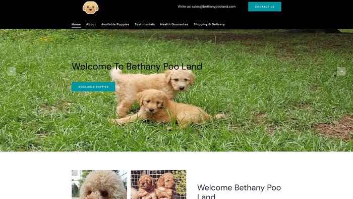 Bethanypooland.com - Bichon Frise Puppy Scam Review