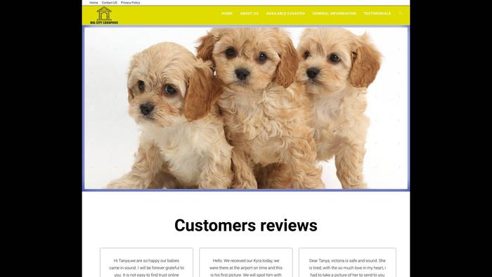 Bigcitycavapoos.com - Cavapoo Puppy Scam Review