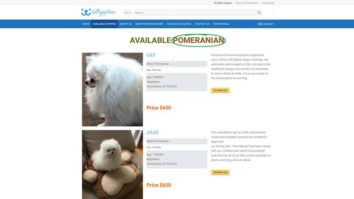 Billpuppyhome.com - Pomeranian Puppy Scam Review