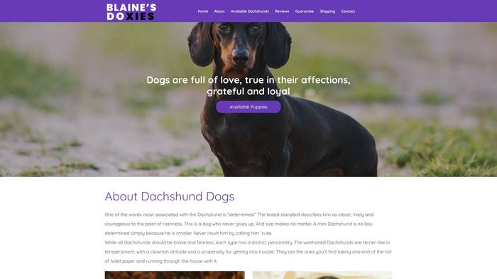 Blainesdoxies.com - Dachshund Puppy Scam Review