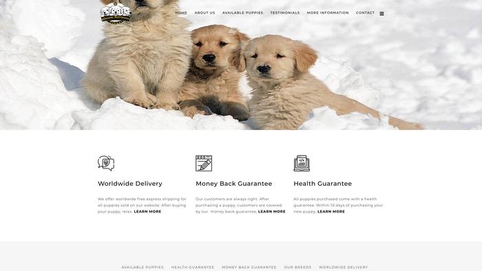 Blossomretrieversplanet.com - Golden Retriever Puppy Scam Review